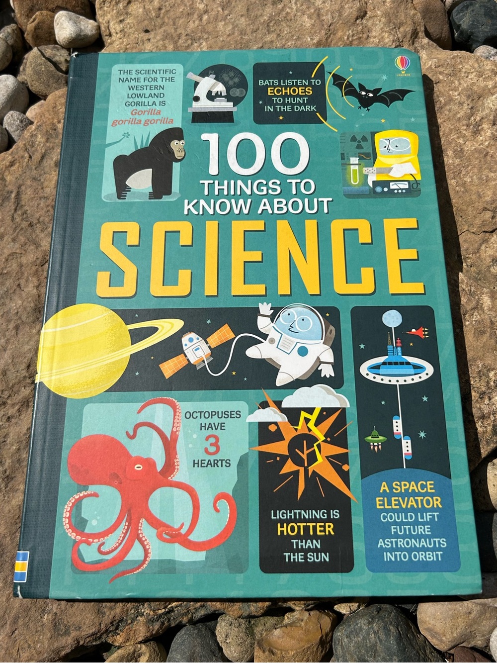 🩶5/$30 Usborne 100 Things to Know About Science Hardcover Book